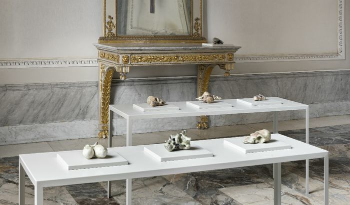 Ludovica Anversa, installation view at Palazzo Del Comune