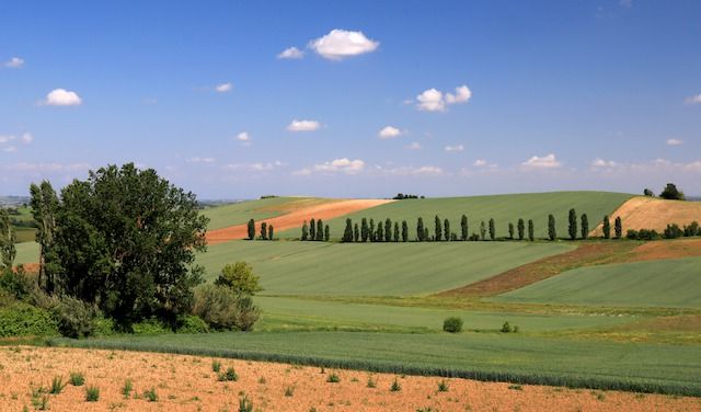 Colline monferrine tra San Salvatore e Lu