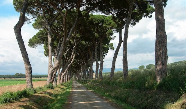 Entroterra toscana progetto ori