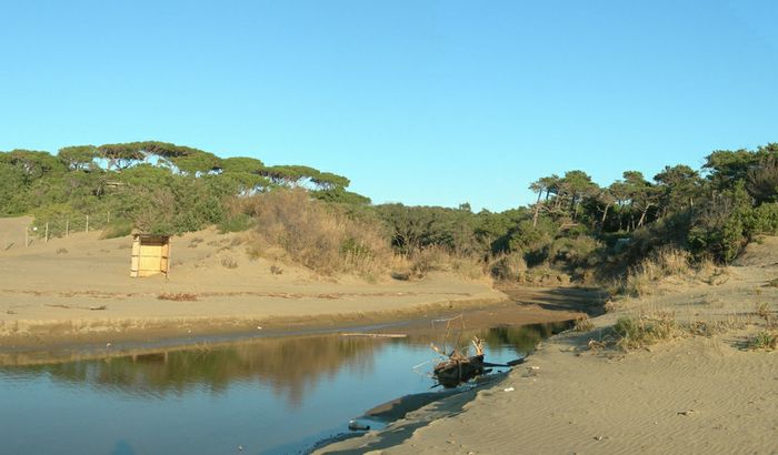 Dune progetto Ori