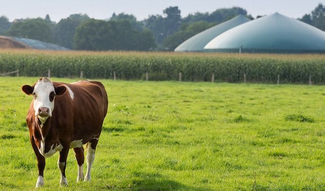 Biogas

